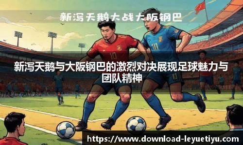 新泻天鹅与大阪钢巴的激烈对决展现足球魅力与团队精神